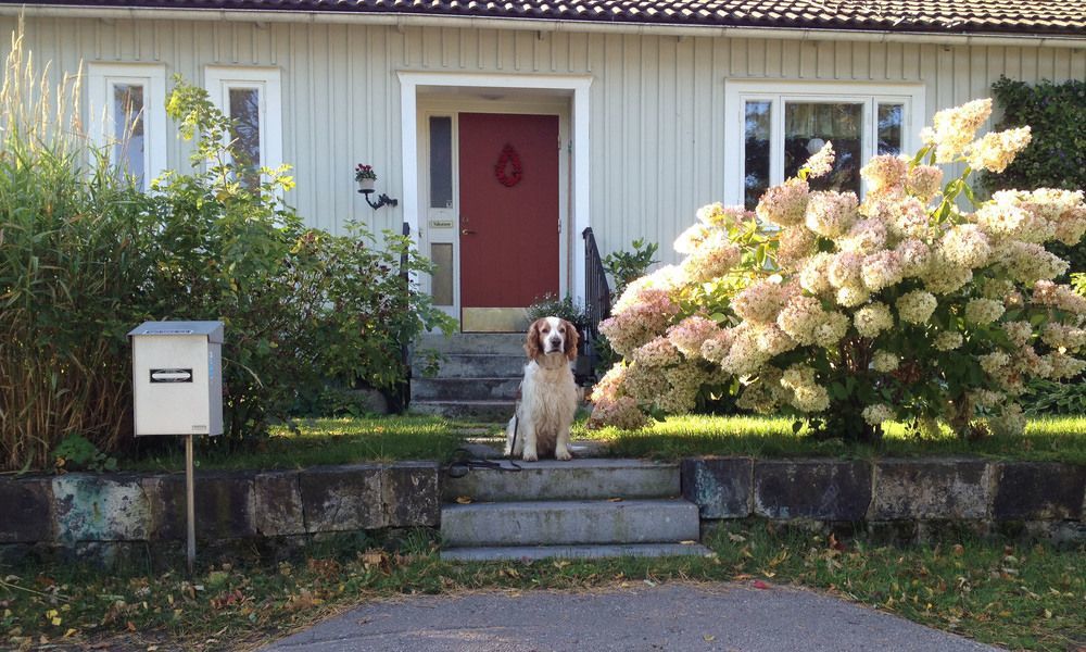 Tant Groen B&B 팔룬 외부 사진